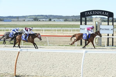 VIBRANCE SCORES WITH AUTHORITY AT PAKENHAM..